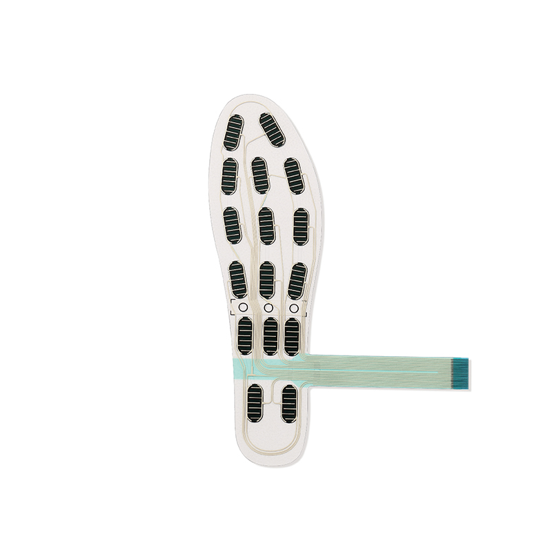 FS-INS-16Z Legact Wearable Sma - đánh giá và giá Smart Insole Pressure